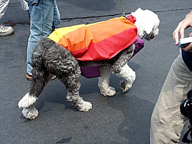 Aufnahme vom Christopher Street Day (CSD) 2002 in Berlin